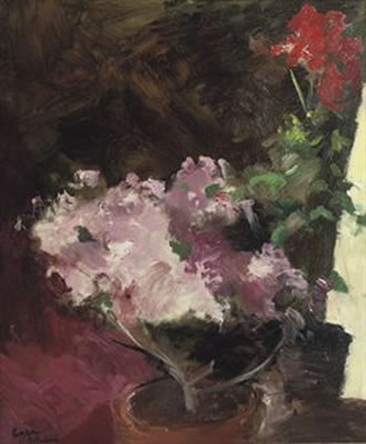 Roze bloemen: azaleas and geraniums