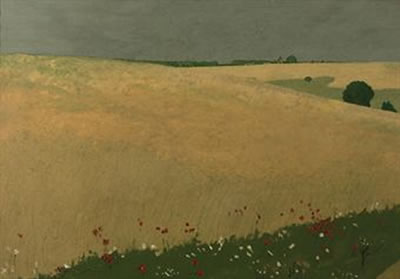 Poppies in a Field