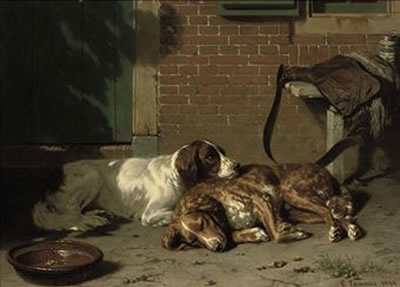 English Springer Spaniels resting after the hunt