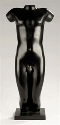 Male torso
