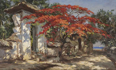 Flamboyant tree