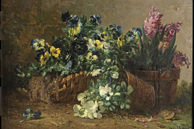 Violets and hyacinths in pots