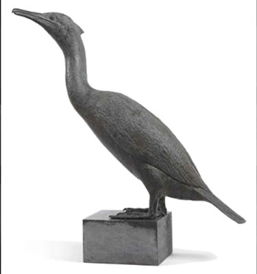 Aalscholver - Cormorant