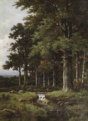 A forest stream