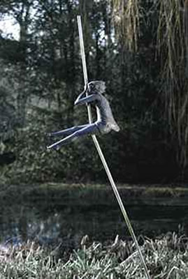 Pole vaulter