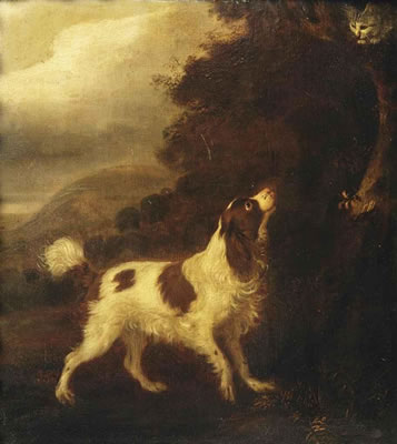 An English Springer Spaniel and a grey cat in a landscape