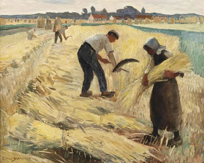 The harvest