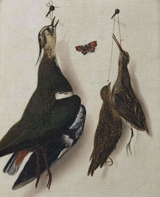 A plover, a longbill and a mistle-thrush hanging from a nail, with a red butterfly by Albertus Jonas Brandt - Auction record, sale price, and art valuation. Compare with similar artists and explore comparable artworks.