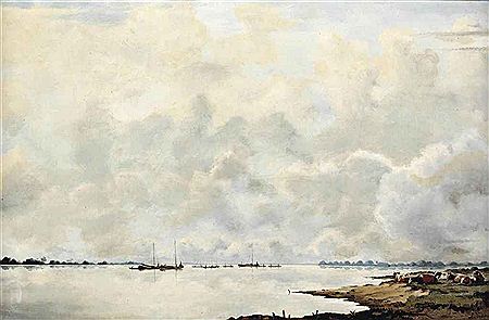 Cows along the river IJssel