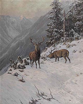 Red deer grazing in a mountainous winter landscape