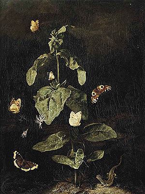 A forest floor still life with a Grand Surprise (Nymphalis antiopa), a Large Tortoiseshell (Nymphalis polychloros), a Small White (Pieris rapae), a Peacock (Inachis io), and other butterflies and a lizard by Otto Marseus Van Schrieck - Auction record, sale price, and art valuation. Compare with similar artists and explore comparable artworks.
