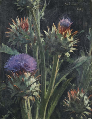 Artichoke flowers