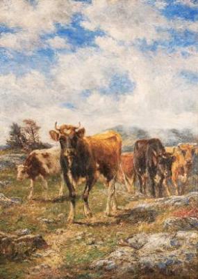 Cows Pasturing