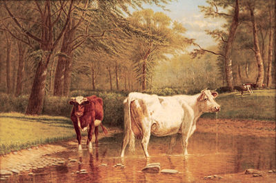 Two Cows in a Stream by Clinton Loveridge - Auction record, sale price, and art valuation. Compare with similar artists and explore comparable artworks.