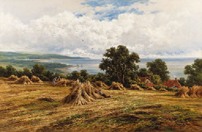 Harvesting by the Sea