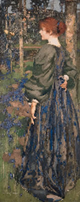 In the bluebell wood