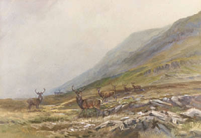 Sample artwork by Harold Frank Wallace (1881 - 1962), known for paintings of red deer and landscape - View similar artists and auction records