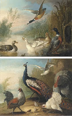 Ducks on a river; and Peacock, Turkey and Chickens on a riverbank (2)