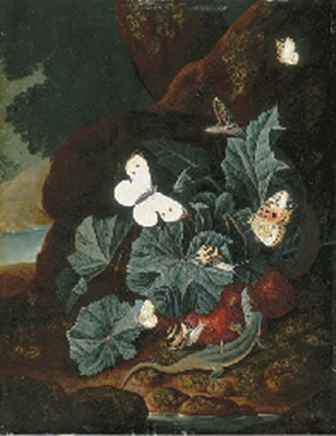A forest floor still-life with a lizard, butterflies, snails and a snake