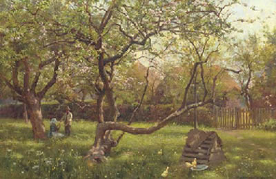 In the orchard