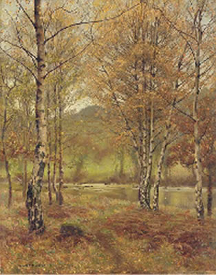 Silver birch, Bettwys-y-Coed, Wales