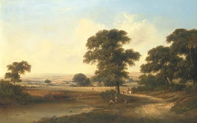 A lowland landscape