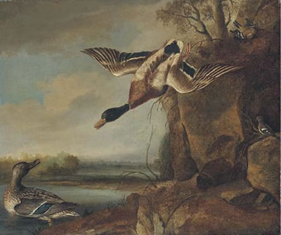 Mallard and chaffinches in a river landscape