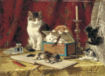 The cigar box