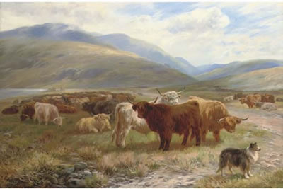 Waiting for the drovers