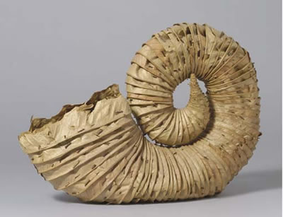 Leafhorn by Andy Goldsworthy - Auction record, sale price, and art valuation. Compare with similar artists and explore comparable artworks.
