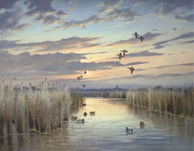 Towards Ranworth, Dusk, Norfolk