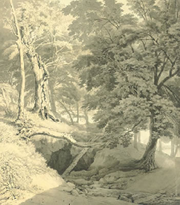 Ugbrooke, Devon