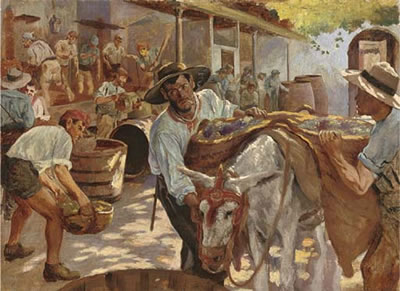 The Jerez grape harvest