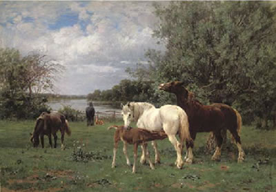 Horses at pasture