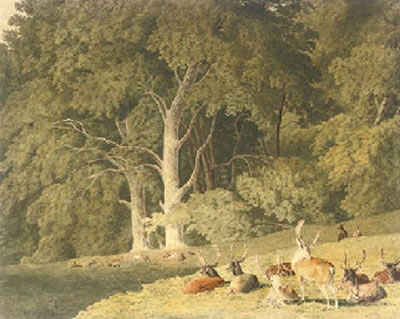 Sample artwork by Robert Hills (1769 - 1844), known for bucolic landscape, rural genre and animal painting, etching - View similar artists and auction records