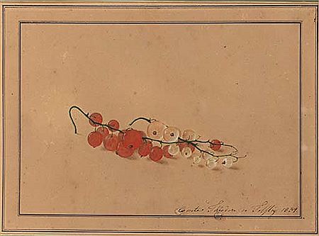Red and white currants by Feodor Petrovich Tolstoi - Auction record, sale price, and art valuation. Compare with similar artists and explore comparable artworks.