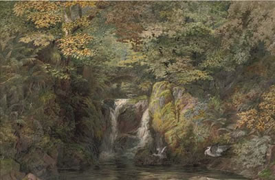 Rydal Fall, Westmoreland