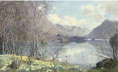 Wild daffodils, Ullswater