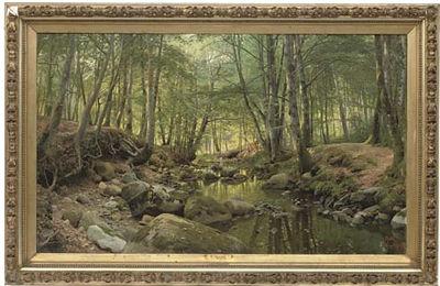 A stream in a tranquil wooden landscape
