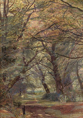 A path through a wooded landscape