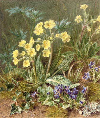 Sample artwork by Marian Chase (1844 - 1905), known for painting - View similar artists and auction records