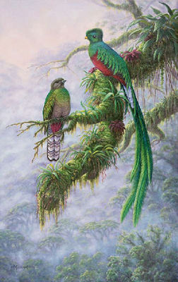 Quetzals by Kim Brooks - Auction record, sale price, and art valuation. Compare with similar artists and explore comparable artworks.