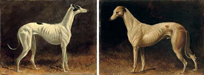 Sample artwork by Colin Graeme (1858 - 1910), known for rural animal genre, hunting painting - View similar artists and auction records