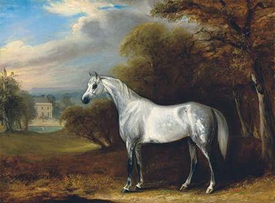 A Grey Arabian in a Landscape by John (Junior) Ferneley II - Auction record, sale price, and art valuation. Compare with similar artists and explore comparable artworks.