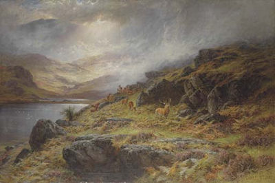 A Scotch deer forest