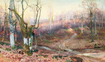 In the Heart of the Forest