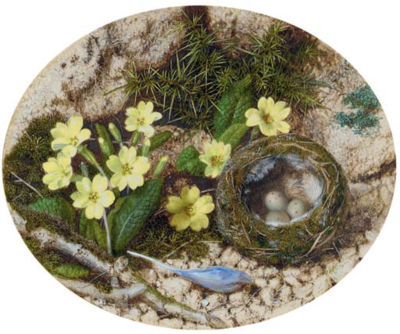 Primroses, a crocus and a bird's nest, on a mossy bank by John Sherrin - Auction record, sale price, and art valuation. Compare with similar artists and explore comparable artworks.