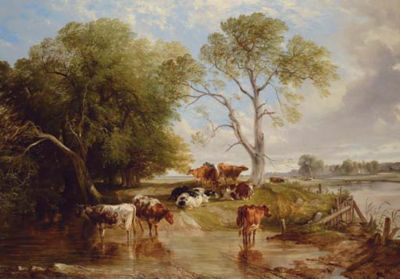 Morning in the meadow