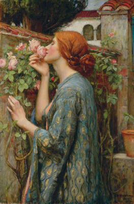 The Soul of the Rose