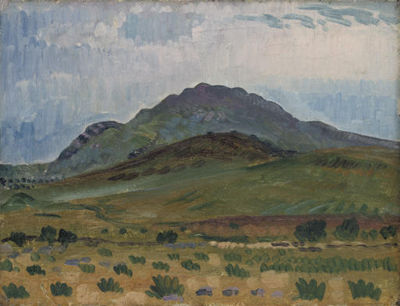 Mount Arenig, North Wales